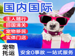 贡嘎航空物流国际宠物托运 【国
